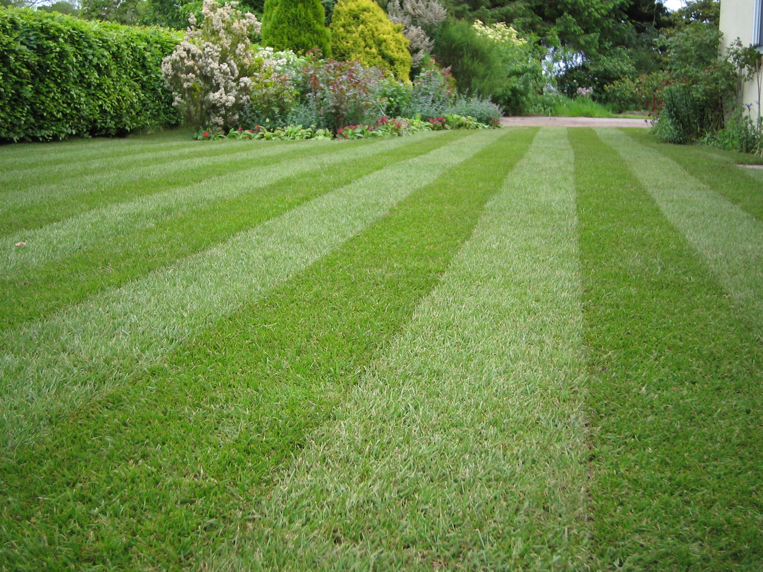 lawn-stripes