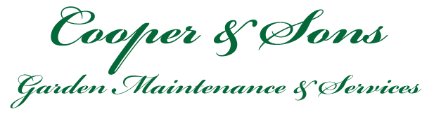 Cooper and sons